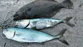 ���ʥ��ȥҥ��