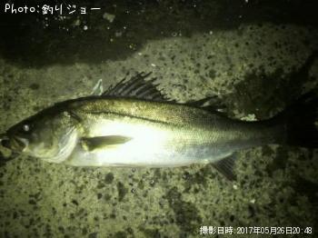 �����Х�