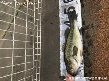 �֥�å��Х�