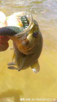 �֥�å��Х�