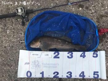 �����ʥ�