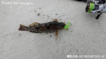 �����ʥ�