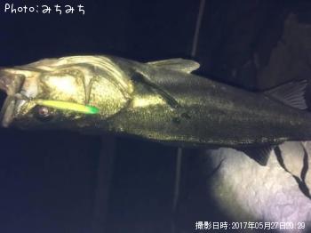 �����Х�