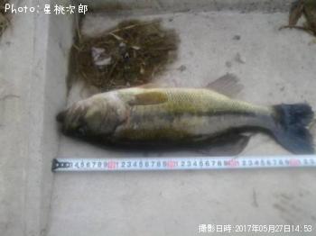 ¥Ö¥é¥Ã¥¯¥Ð¥¹