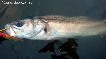 �����Х�