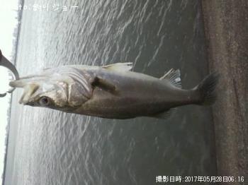 �����Х�