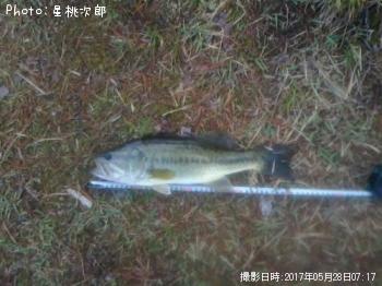 �֥�å��Х�