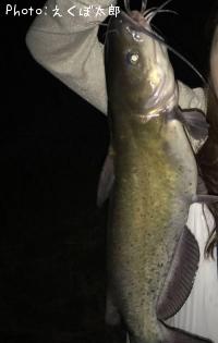 ����ꥫ�ʥޥ�