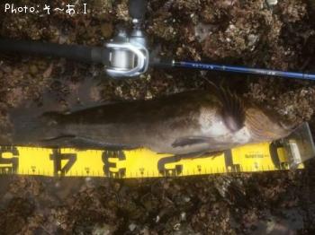 �����ʥ�