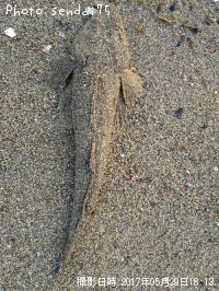 �ޥ���
