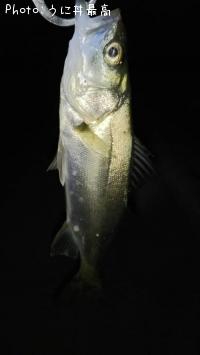 �����Х�