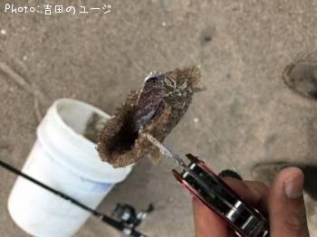 �ޥ���