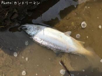 ������ޥ�