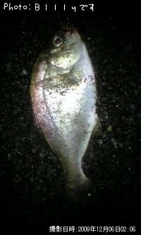 �����ʥ�