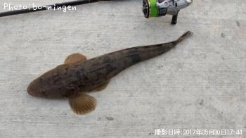 �ޥ���