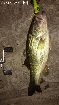 �֥�å��Х���