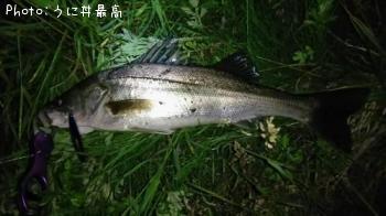 �����Х�