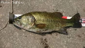 �֥�å��Х�