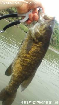 ���⡼��ޥ����Х�