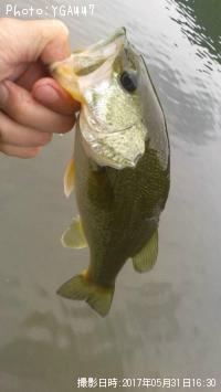 ¥Ö¥é¥Ã¥¯¥Ð¥¹