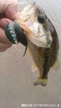 �֥�å��Х�