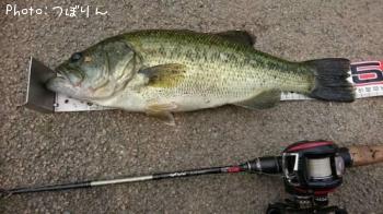 �֥�å��Х�