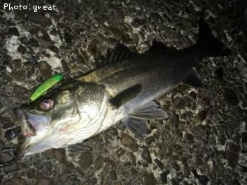 �����Х�