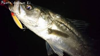 �����Х�