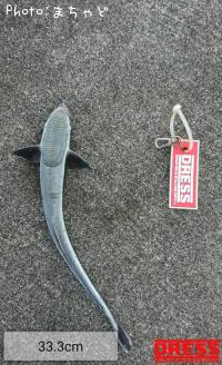 ¥³¥Ð¥ó¥¶¥á