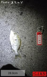 ����ʥ����ڥ��ĥͥե��ե���