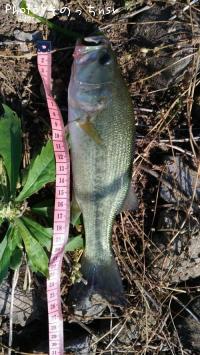 �֥�å��Х�