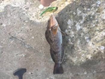 �����ʥ�