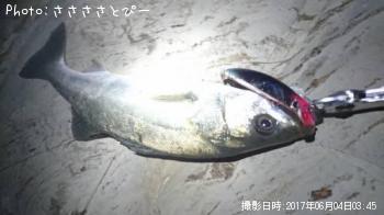 �����Х�