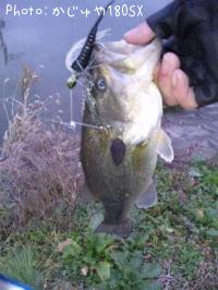 ¥Ö¥é¥Ã¥¯¥Ð¥¹