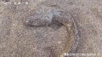 �ޥ���