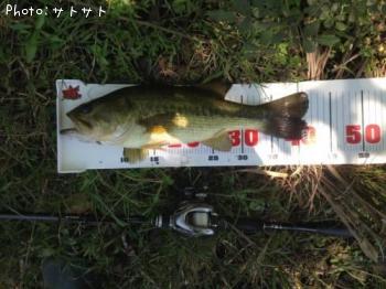 �֥�å��Х�