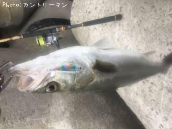 �����Х�