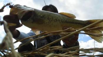 �֥�å��Х�