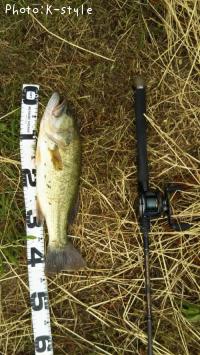 �֥�å��Х�