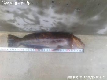 �����ʥ�