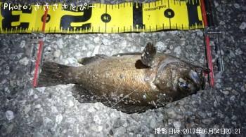 ��Х�������Х�