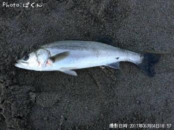 �����Х�