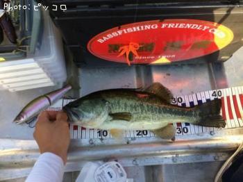 �֥�å��Х�