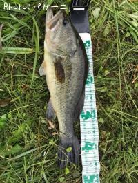 �֥�å��Х�