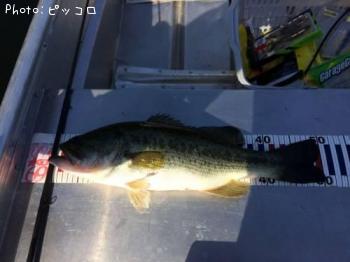 ¥Ö¥é¥Ã¥¯¥Ð¥¹