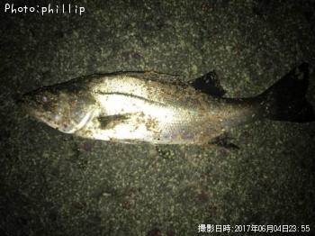 �����Х�