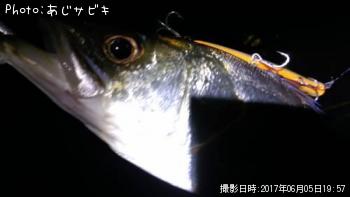 �����Х�