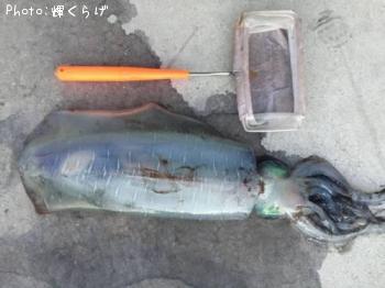 �����ꥤ��