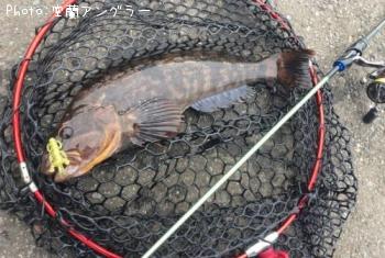 �����ʥ�