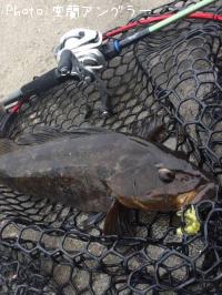 �����ʥ�